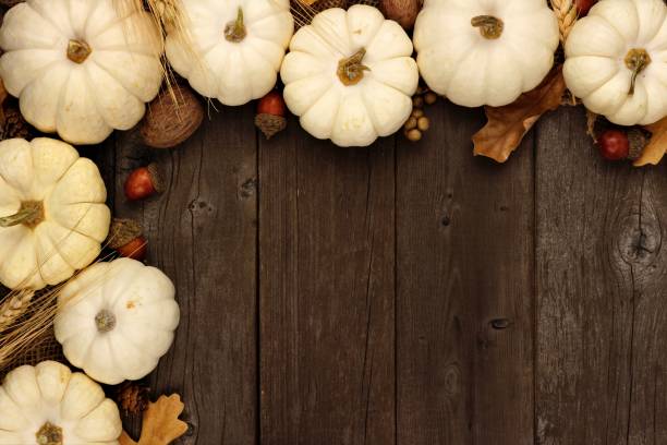 istock White pumpkin and brown leaves corner border over rustic wood 851933980