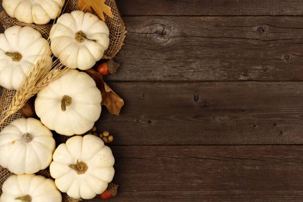 istock White pumpkin and brown leaves side border over rustic wood 851933986