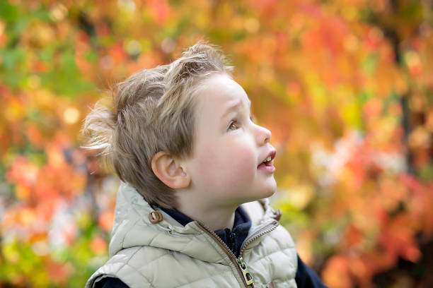 istock boy in autumn season in a park 851939372