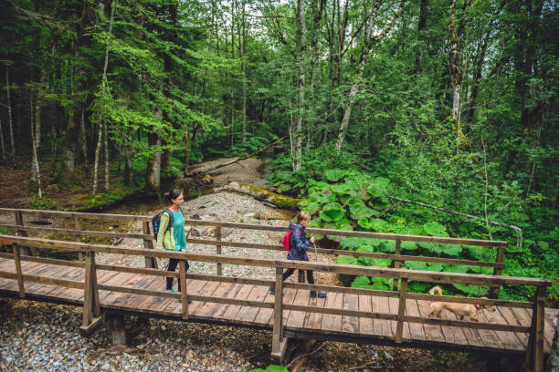 istock Mother and daughter hiking in forest 851939840