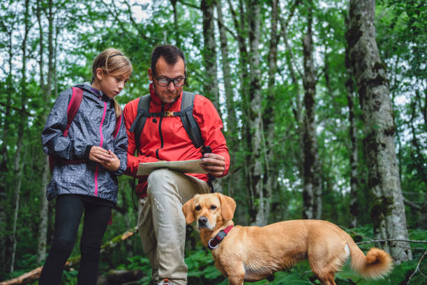 istock Father and daughter hiking in forest and checking map 851939966