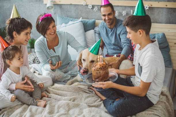 istock Happy birthday puppy 851941632