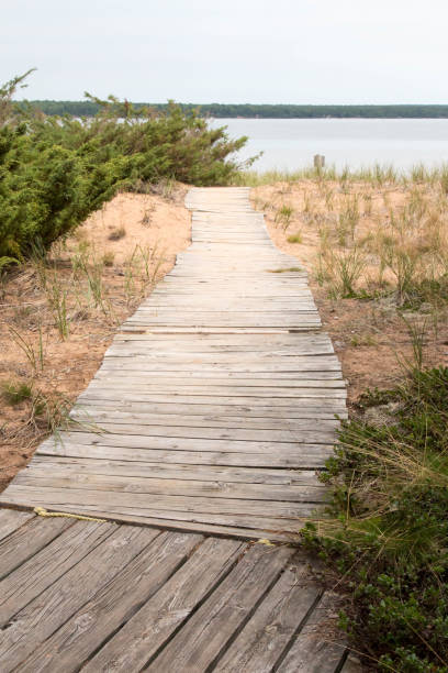 istock Boardwalk to the beach on Madeline Island in Wisconsin 851941698