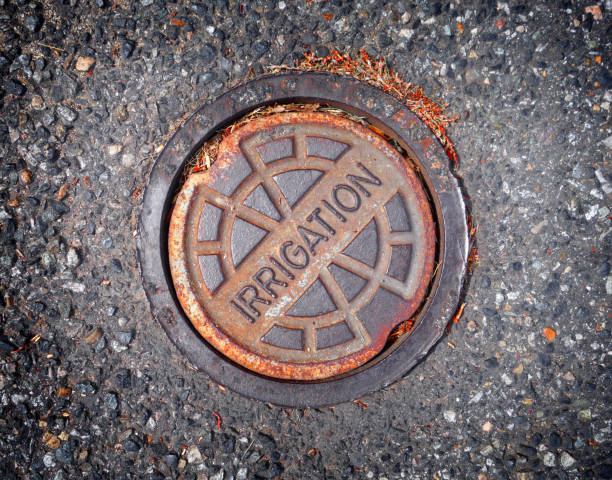 istock metal street access cover 851942714