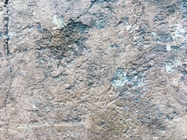 istock Pattern and texture. Cement home and building wall texture. Abstract art and background concept. 851942856
