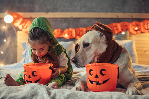 Little boy and his dog in costumes on bed celebrating Halloween