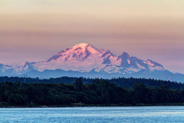 Mt. Baker at sunset Mt. Baker at sunset mt baker stock pictures, royalty-free photos & images