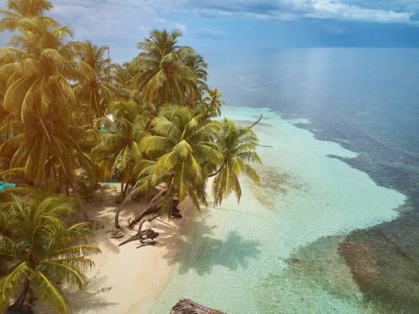 istock Beach of small island with palms 851951442