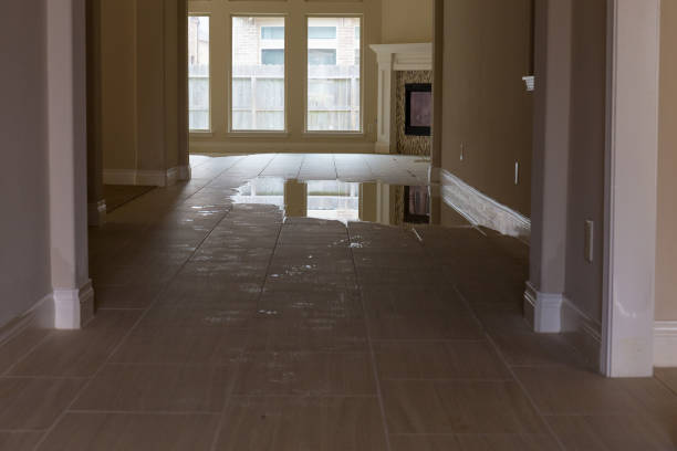 istock House flooded after hurricane Harvey 851952370