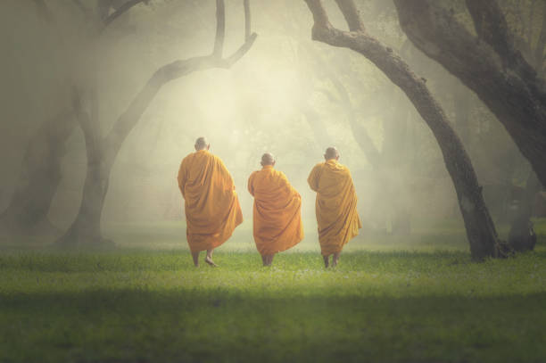 monks hike in deep forest, Buddha Religion concept stock photo
