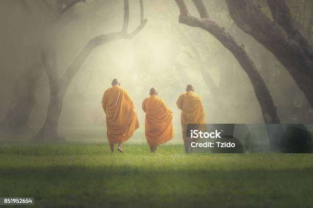 Monks Hike In Deep Forest Buddha Religion Concept Stock Photo - Download Image Now - Monk - Religious Occupation, Buddhism, Thailand