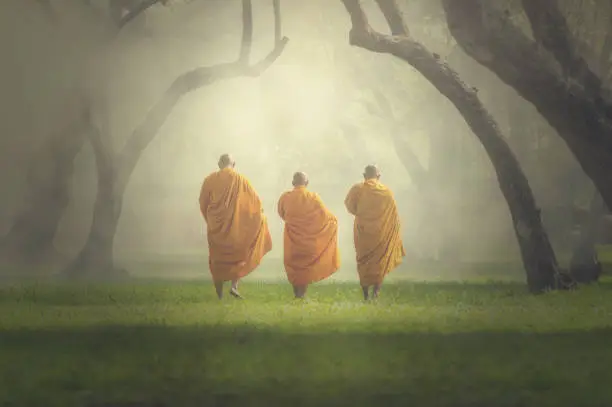 monks hike in deep forest, Buddha Religion concept
