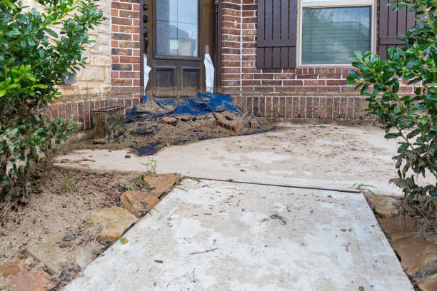 istock The high water and sediment sludge mark is clearly visible on a house 851952846