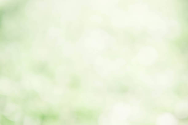 istock abstract blur nature color background 851953286