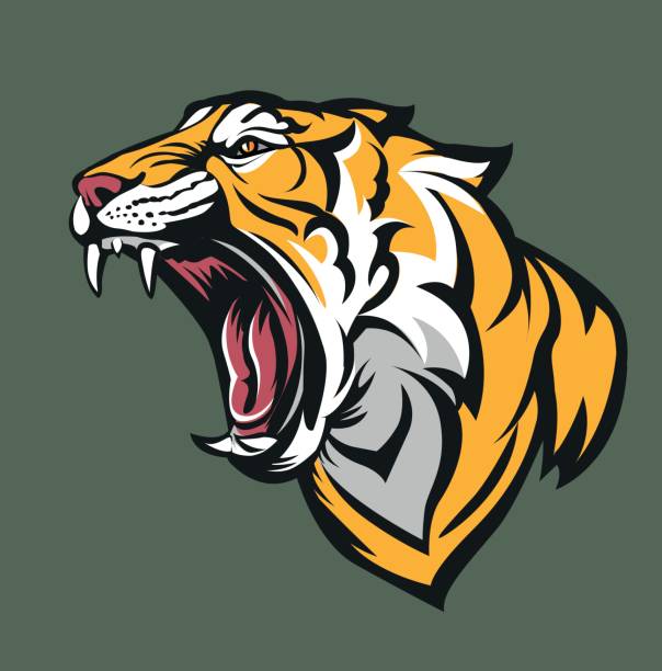 illustrazioni stock, clip art, cartoni animati e icone di tendenza di testa di tigre - tiger roaring danger power