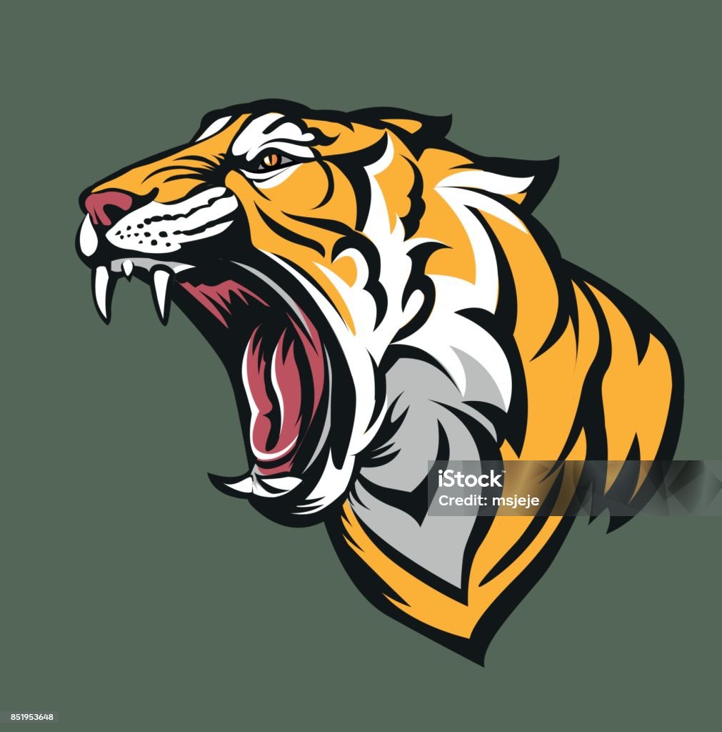 Tiger head Vector illustration Tiger fierce with open mouth Tiger stock vector