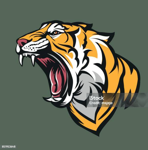 Tiger Head Stock Illustration - Download Image Now - Tiger, Roaring, Head