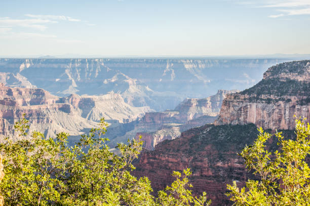 istock Grand Canyon North Rim 851958110