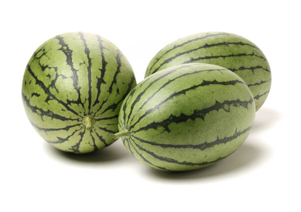 istock Watermelons  on the white background 851959260