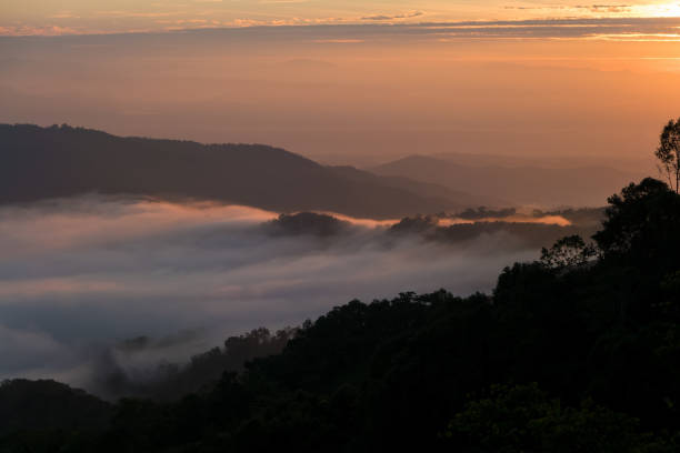istock Fog Landscape , Sunrise mornings landscape , Chiang Mai Thailand 851959822