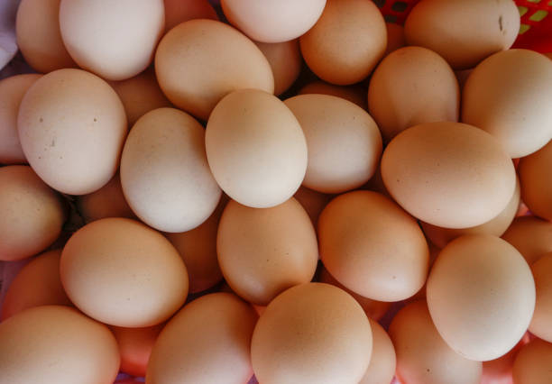istock Close of Fresh Chicken Egg  Eggs.Many fresh yellow chicken eggs in group 851974522