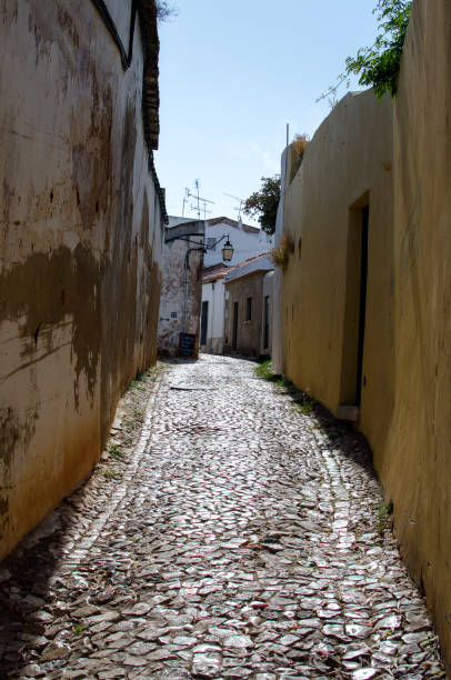 istock European Cobblestone Alley 851983200