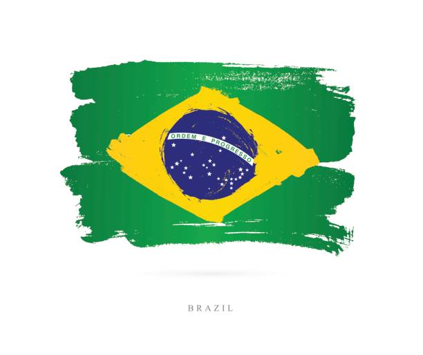 flaga brazylii. ilustracja wektorowa - brasil flag stock illustrations