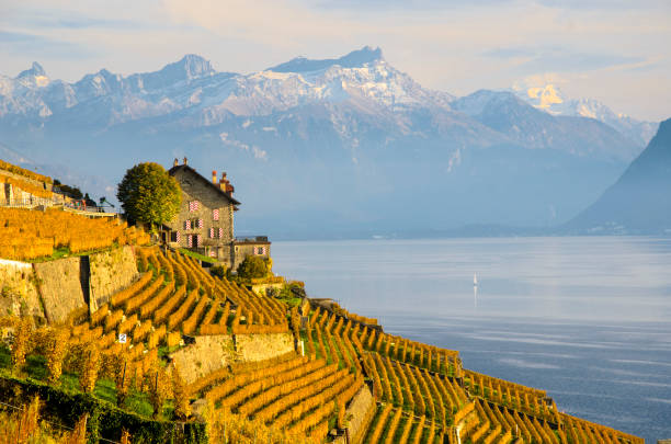 istock Autumn in the Lavaux 851986038