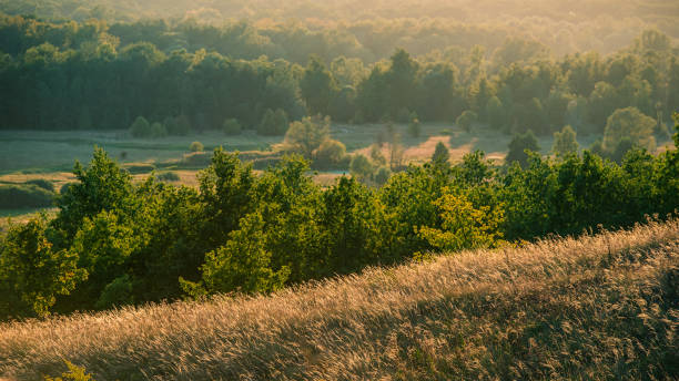istock landscape in hilly terrain with dry feather grass. 851991280