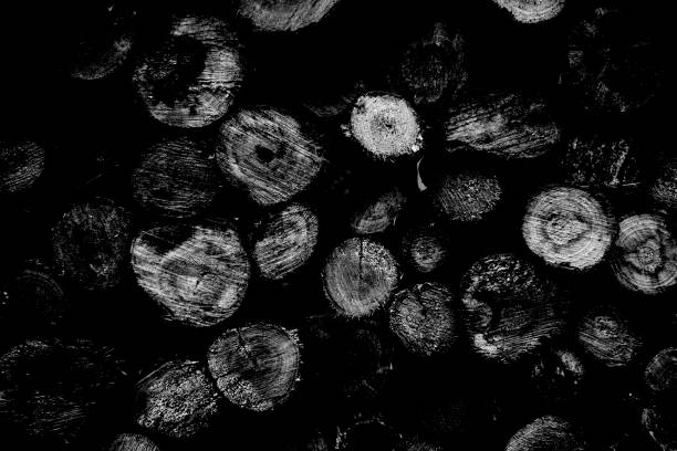 Black and white color texture pattern abstract background can be use as wall paper screen saver brochure cover page or for presentations background or article background also have copy space for text.