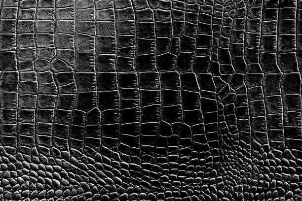 istock Black and white color texture pattern abstract background can be use as wall paper screen saver brochure cover page or for presentations background or article background also have copy space for text. 851993086