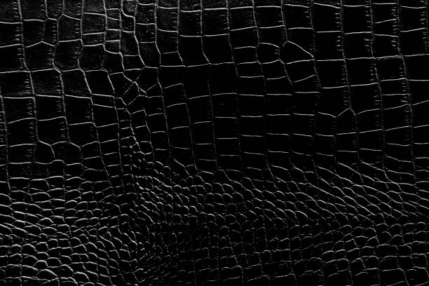 istock Black and white color texture pattern abstract background can be use as wall paper screen saver brochure cover page or for presentations background or article background also have copy space for text. 851993106