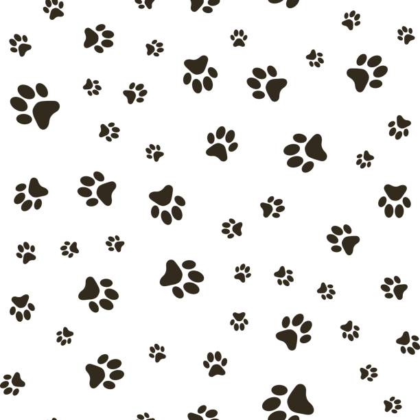 illustrations, cliparts, dessins animés et icônes de modèle sans couture de vecteur avec des empreintes de patte d’un chien (loup), taches et des taches. - seamless black pattern white