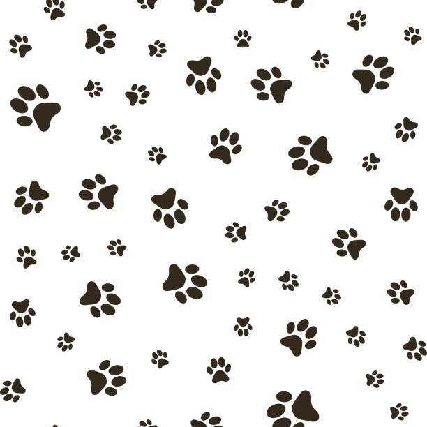 ベクトル シームレスなパターン犬 (狼)、汚れや汚れの前足の足跡。 - paw print点のイラスト素材／クリップアート素材／マンガ素材／アイコン素材