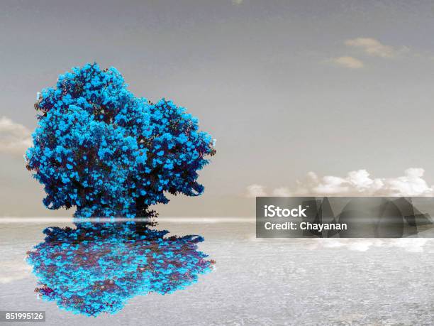 Photo libre de droit de Surface De Leau Des Nuages Ciel De La Réflexion Fleur Du Lac De Couleur Sarcelle banque d'images et plus d'images libres de droit de Arbre