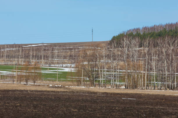 istock plowed field in the early spring, hill covered with forest, birch without leaves in early spring 851997438