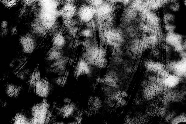 istock Black and white color texture pattern abstract background can be use as wall paper screen saver brochure cover page or for presentations background or article background also have copy space for text. 852000532
