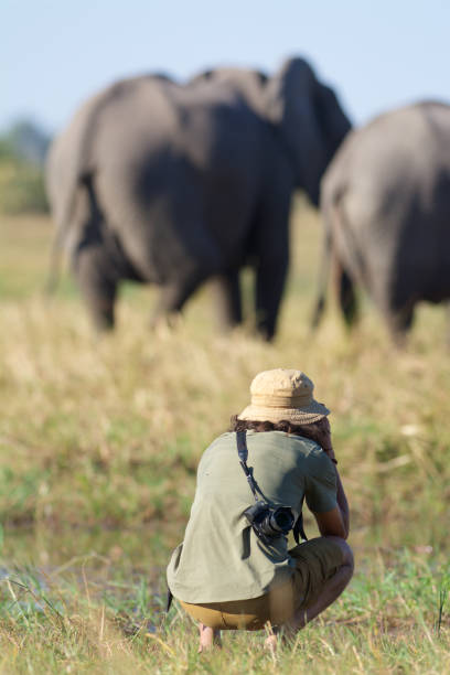 istock wildlife photographer 852007080