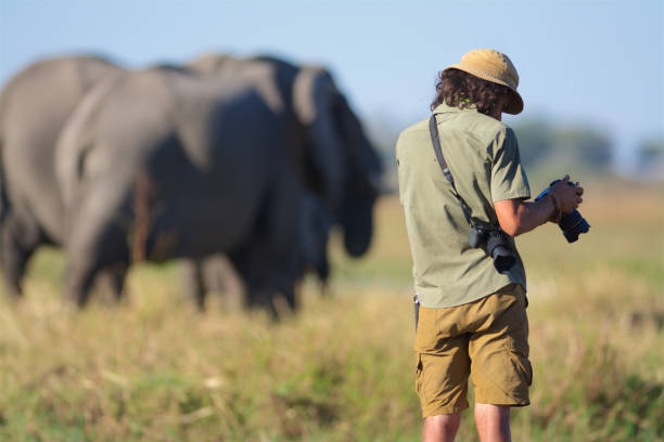 istock wildlife photography 852007582