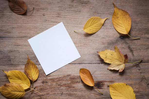 istock Autumn background with maple leaves on old woods 852008488