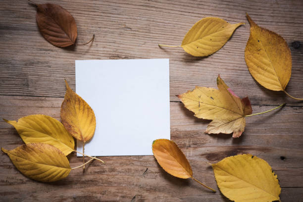 istock Autumn background with maple leaves on old woods 852008522