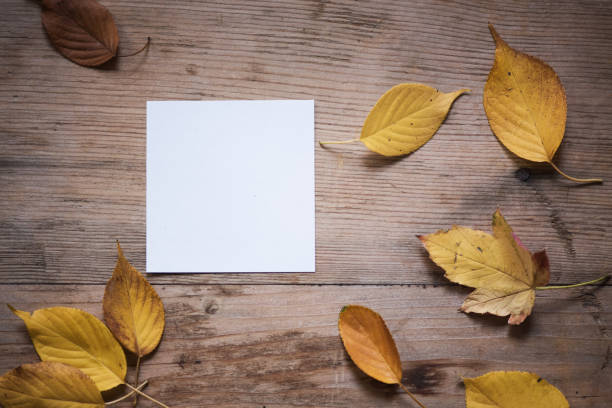 istock Autumn background with maple leaves on old woods 852008558