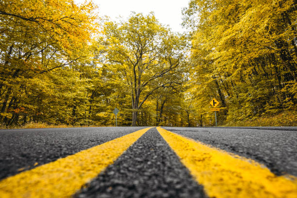 istock Autumnal road in new hampshire 852008798