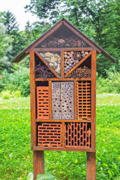 istock Insects hotel – construction made of natural materials and components 852010140