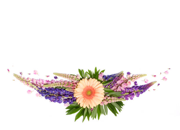 istock White background with decor of flowers 852011998