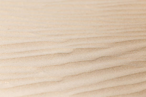 istock beautiful background of sand in the desert 852020188
