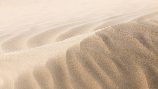 istock beautiful background of sand in the desert 852021952