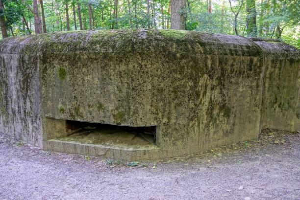istock gray old concrete pillbox in the woods 852022444