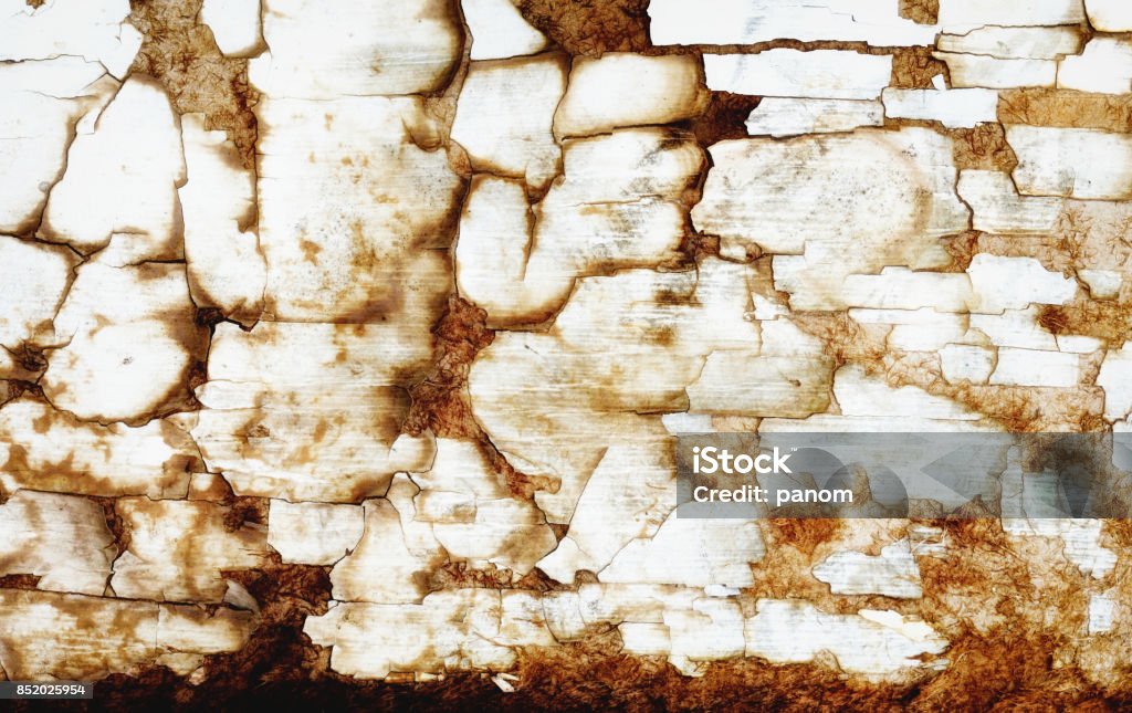 Empty natural pattern wooden texture for background. Abstract Stock Photo