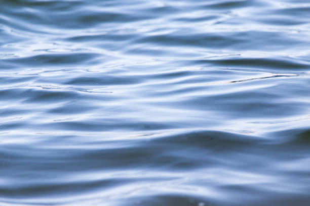 background surface of the water .